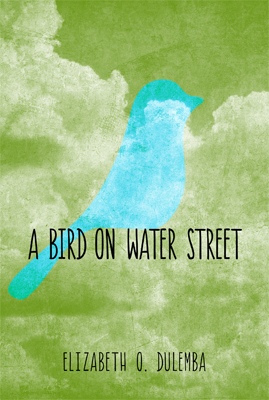 A Bird on Water Street by Elizabeth Dulemba